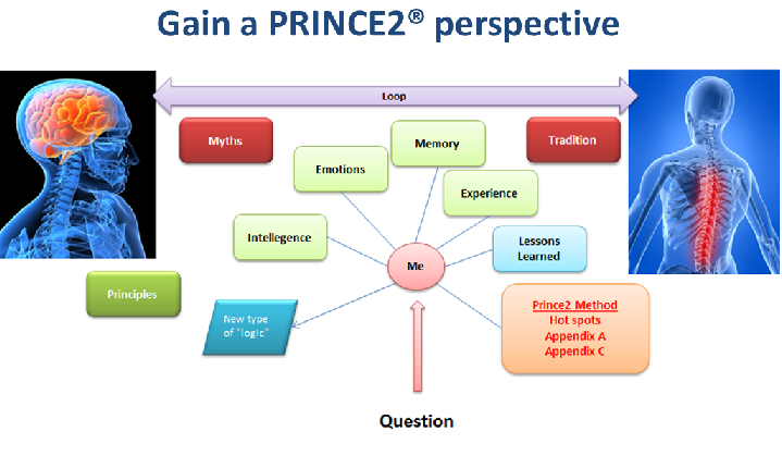 prince2 perspective